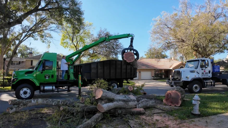 Tree debris cleanup with grapple truck hauling brush piles in Orlando Florida