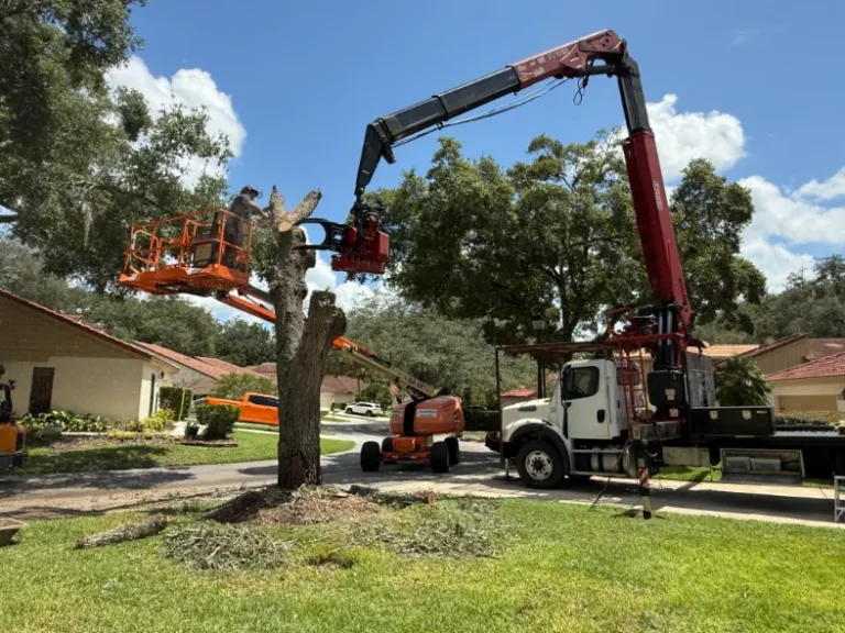Kevin's Tree Service grapple saw crane holding the trunk of a dead tree during a removal