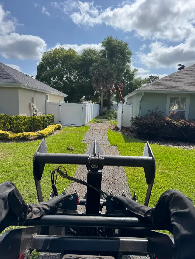 Ground protection mats protecting an Orlando lawn during tree removal