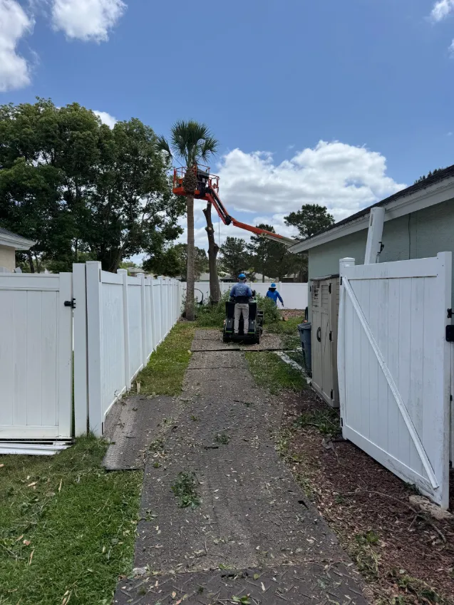 Property protection setup for tree work using ground mats