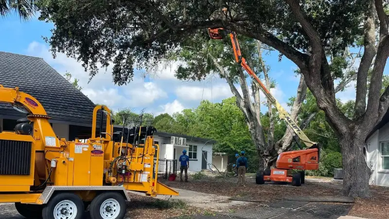 Tree Removal & Trimming in Orlando | Kevin’s Tree Service Aerial lift beside a mature oak with a chipper on the driveway