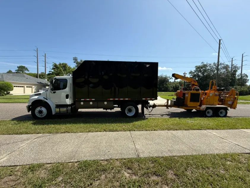 Tree Removal & Trimming in Orlando | Kevin’s Tree Service KTS chip truck towing an orange brush chipper, parked curbside