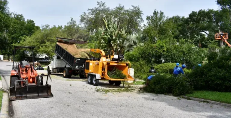 Kevin's Tree Service chipper, dump truck and loader set up for a cleanup