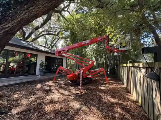 Tree Removal & Trimming in Orlando | Kevin’s Tree Service KTS red compact spider lift set up on outriggers in a fenced backyard under a live oak