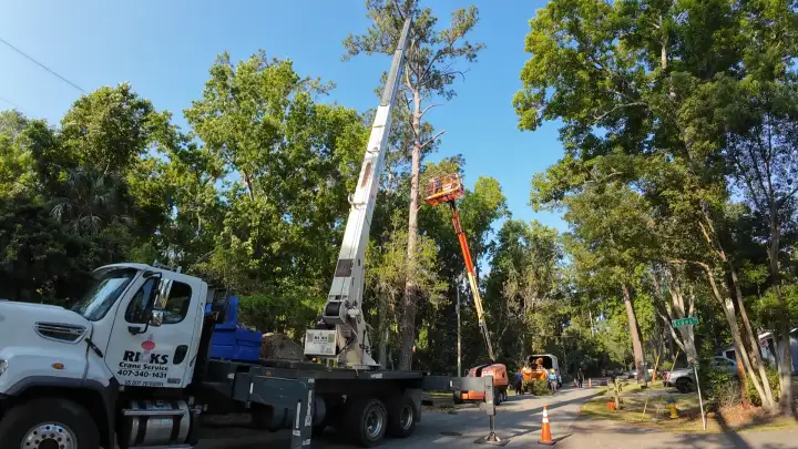 Tree Removal & Trimming in Orlando | Kevin’s Tree Service Crane and aerial lift working on a tall pine during a Kevin’s Tree Service tree removal in the Orlando area