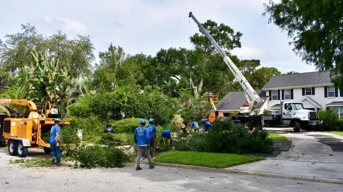 Kevin&rsquo;s Tree Service crew and crane removing a large tree beside a two-story home in Winter Springs, Florida