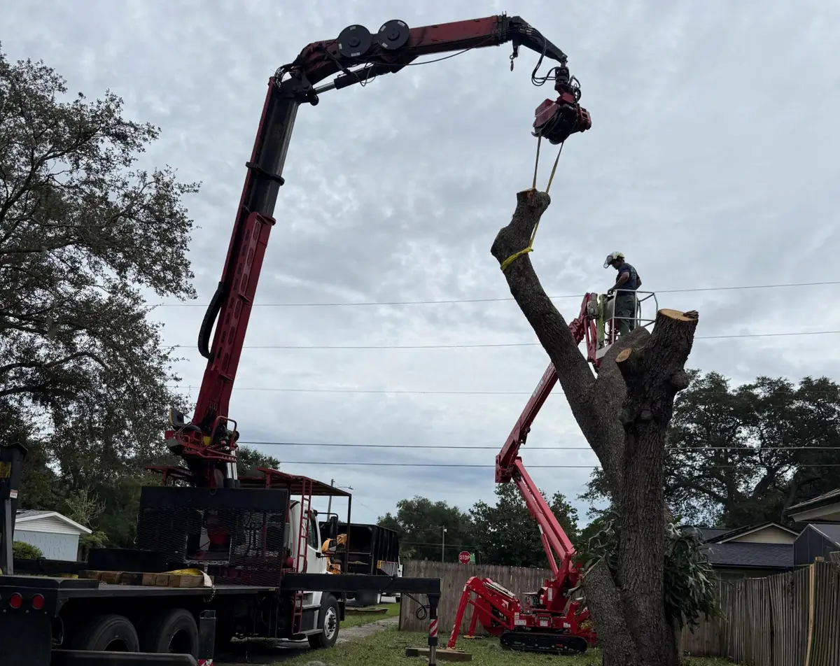 Kevin&rsquo;s Tree Service grapple saw truck and spider lift removing a dead oak tree beside a home in Central Florida