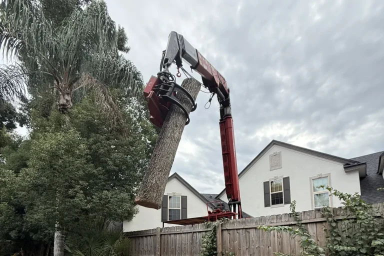 KTS grapple-saw crane lifting a cut trunk section over a backyard fence