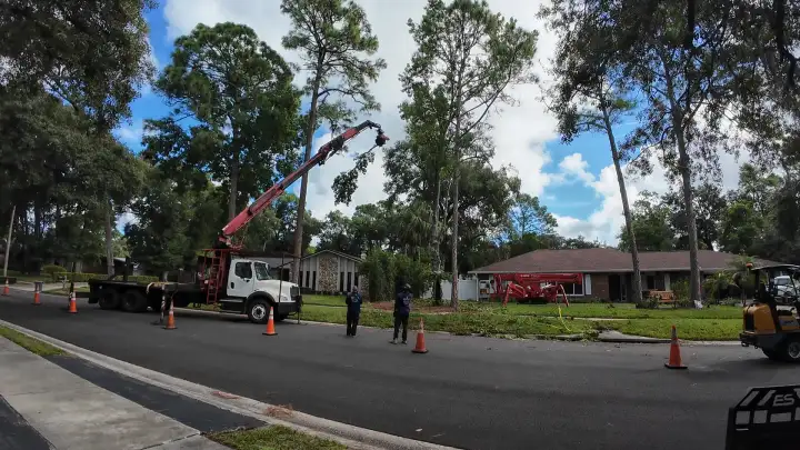 Tree Removal & Trimming in Orlando | Kevin’s Tree Service Kevin’s Tree Service grapple saw truck lifting a cut limb during a residential tree removal in the Orlando area