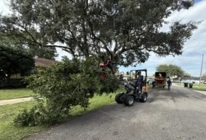Loader and chipper cleaning up after a removal