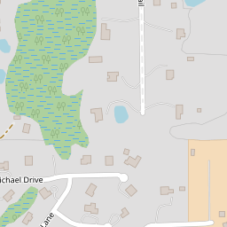 Tree Removal & Trimming in Orlando | Kevin’s Tree Service
