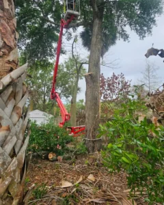 KTS compact spider lift set up in a fenced backyard for tight-access tree work