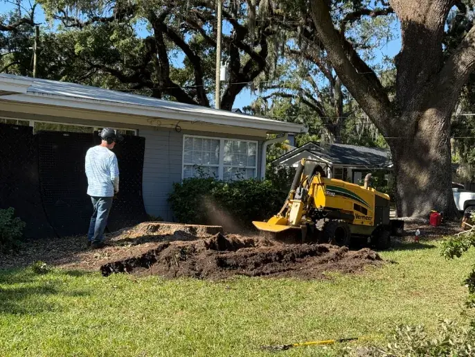 Stump grinder working on a large stump in a residential yard in Central Florida