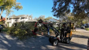Compact loader carrying brush to the chipper