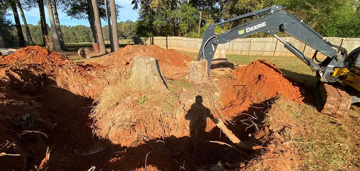 Excavator removing large tree root balls during stump extraction
