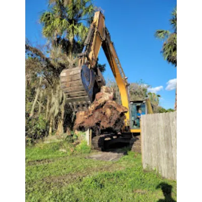 Excavator removing a large rootball during full stump removal in Orlando