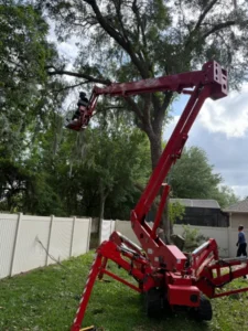 Spider lift extended into a tree in a fenced backyard
