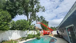 Tree trimming services — controlled lowering with ground protection mats near homes and pool cages