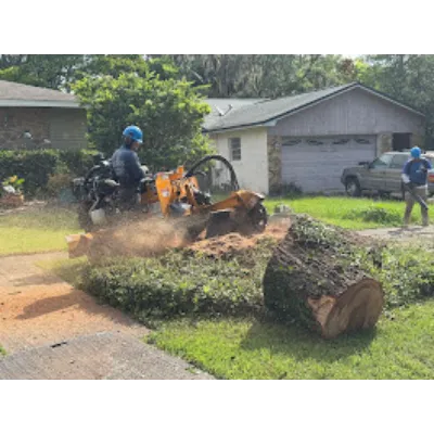 Stump grinding in Orlando with controlled depth and clean finish