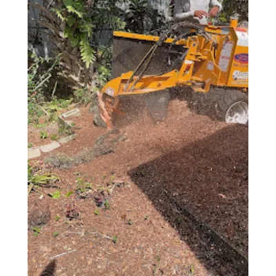 Stump grinding in Winter Springs with shielded work area and replant-ready finish