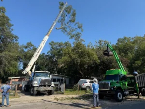 Crane and Kevin's Tree Service grapple truck working together