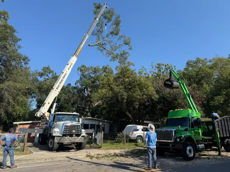 KTS crew on a crane removal with the KTS grapple truck hauling wood
