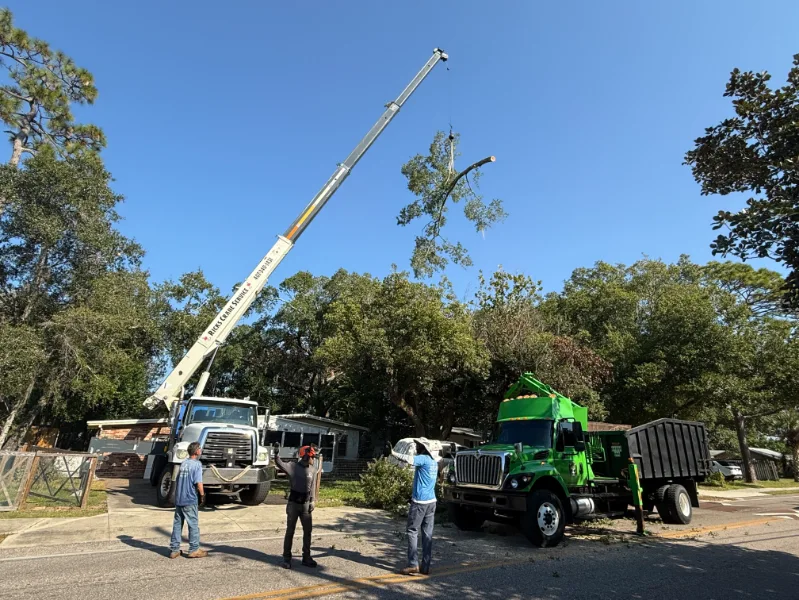 Crane and grapple truck positioned for a controlled residential tree removal