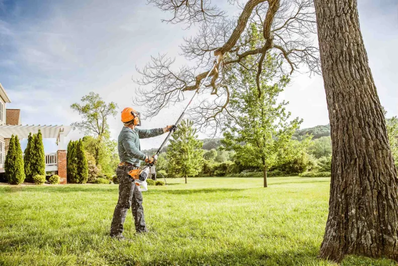 Reduction pruning to decrease end-weight while maintaining natural form