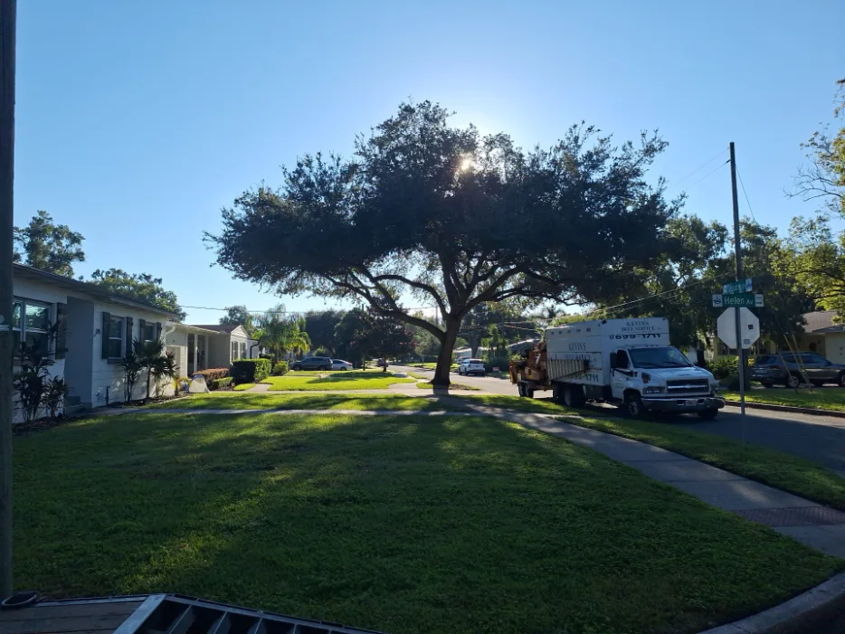 Kevin’s Tree Service crew performing professional tree trimming using safe climbing and rigging techniques